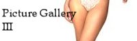 Picture Gallery 3